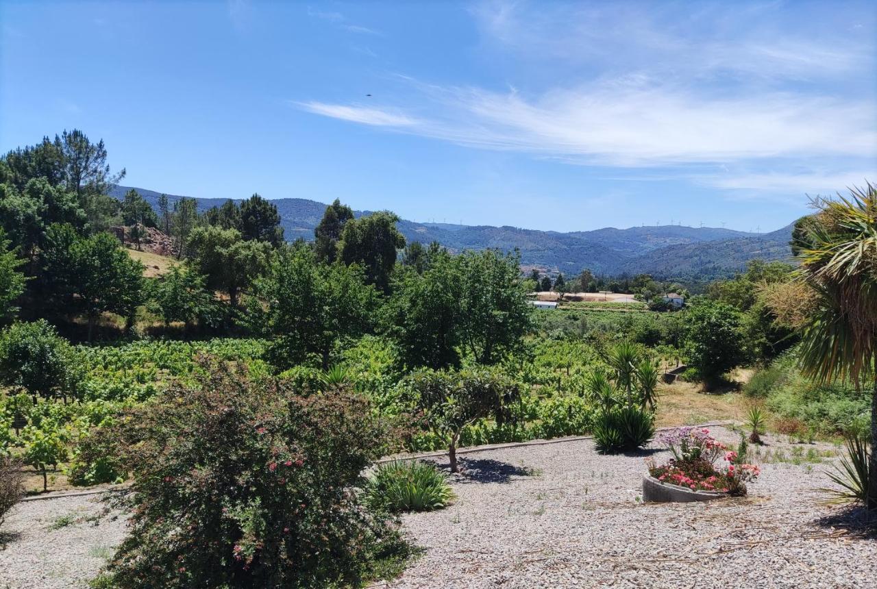 Quinta Da Paixao - Bed & Breakfast Pedraca Zewnętrze zdjęcie