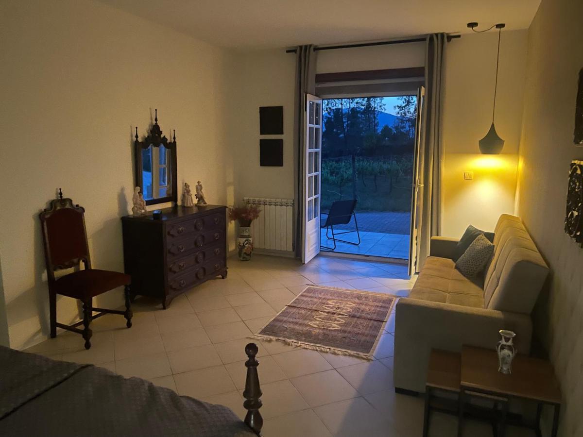Quinta Da Paixao - Bed & Breakfast Pedraca Zewnętrze zdjęcie