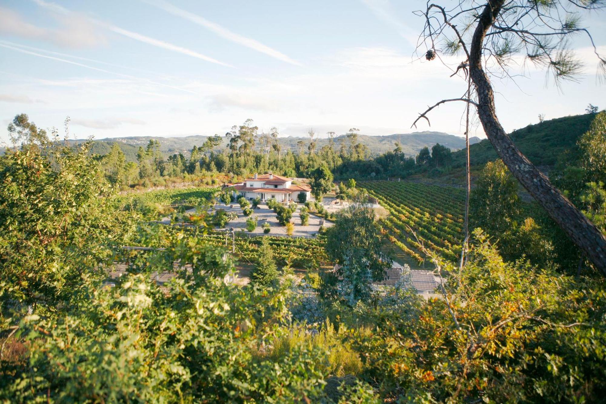 Quinta Da Paixao - Bed & Breakfast Pedraca Zewnętrze zdjęcie