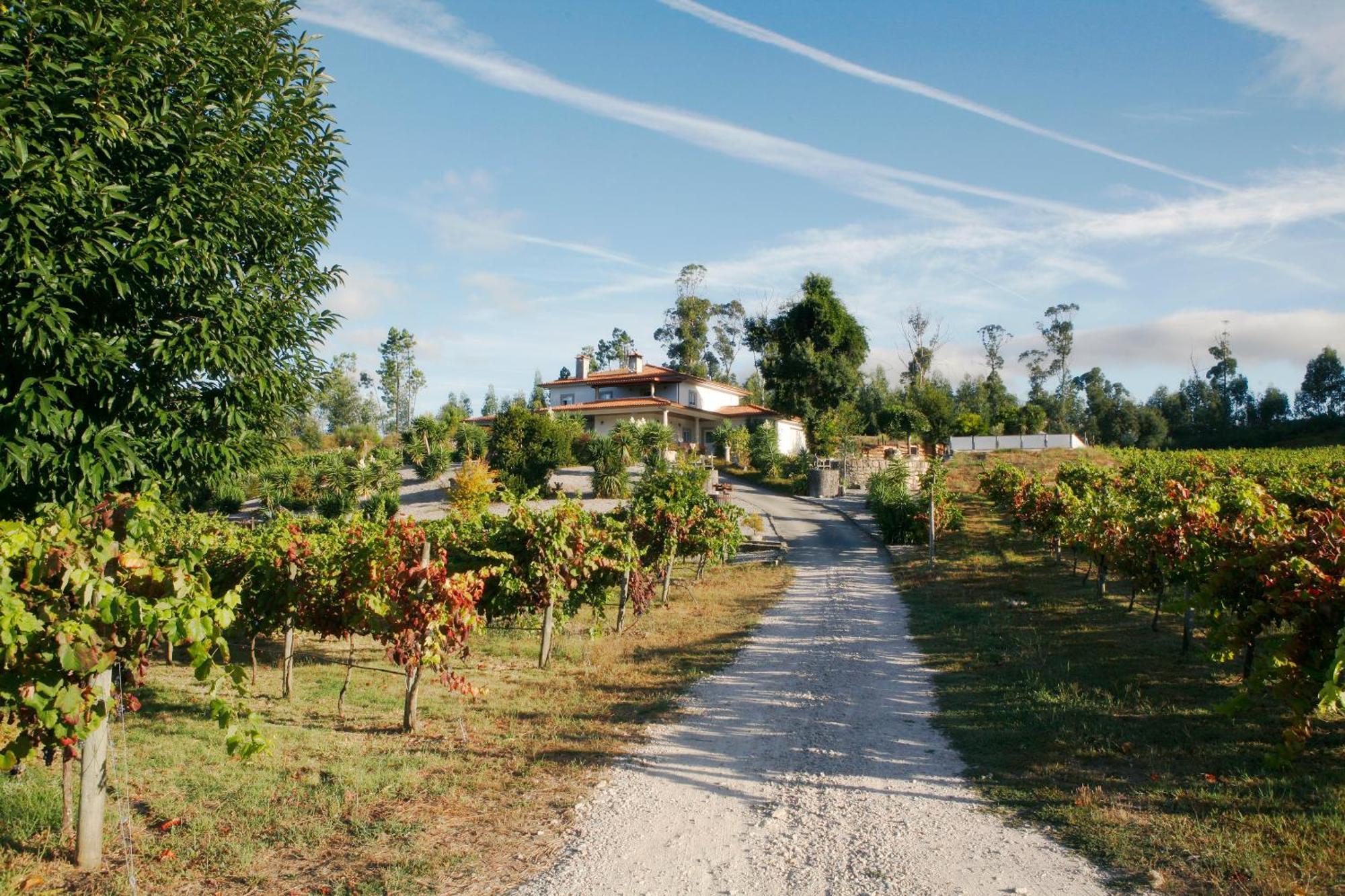 Quinta Da Paixao - Bed & Breakfast Pedraca Zewnętrze zdjęcie